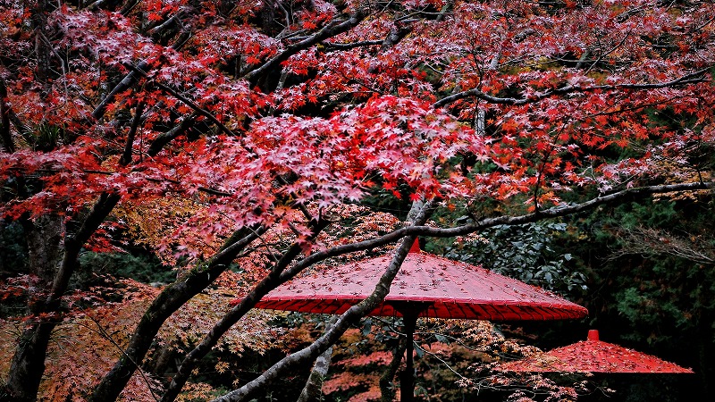 �����̎ʐ^