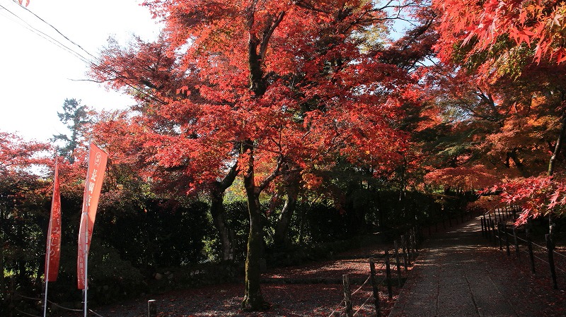 �����̎ʐ^