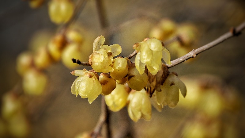 �����̎ʐ^